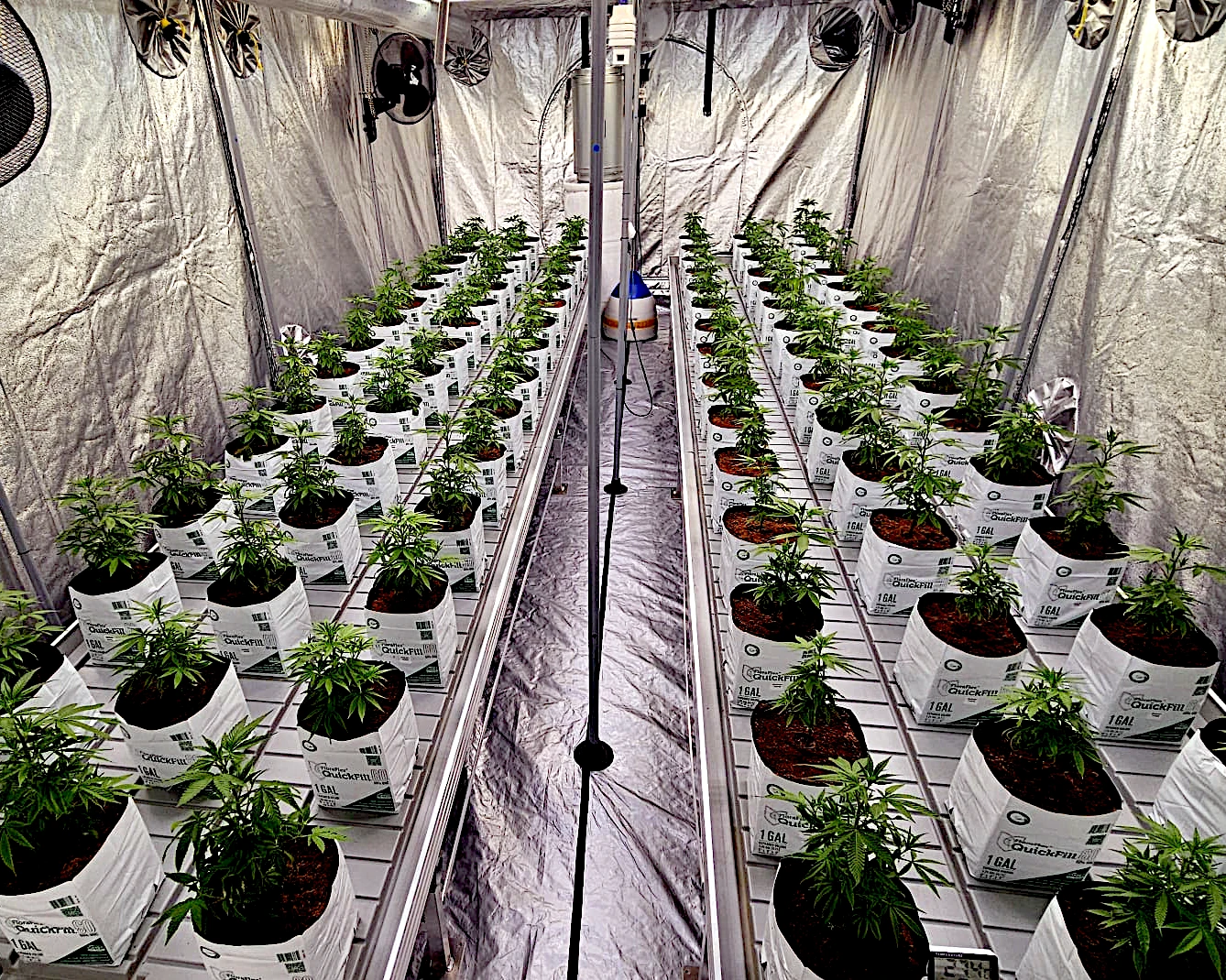 Indoor Growroom mit Pflanzen