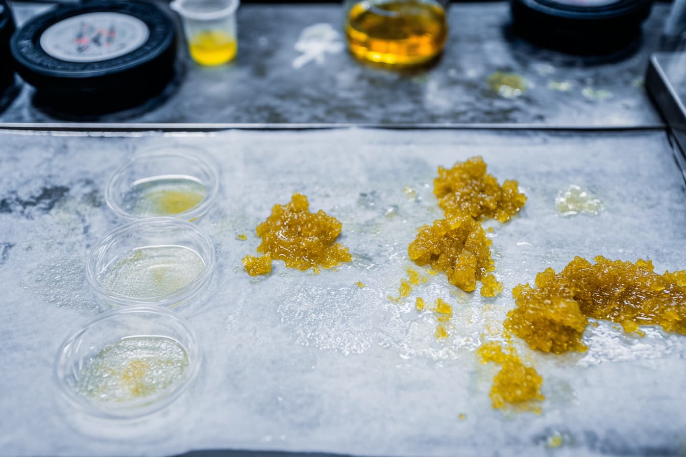 Rosin: Lösungsmittelfreie Extraktion auf höchstem Niveau